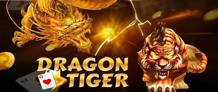 Bí Mật Khủng Khiếp Của Trò Chơi Dragon Tiger Tại B29